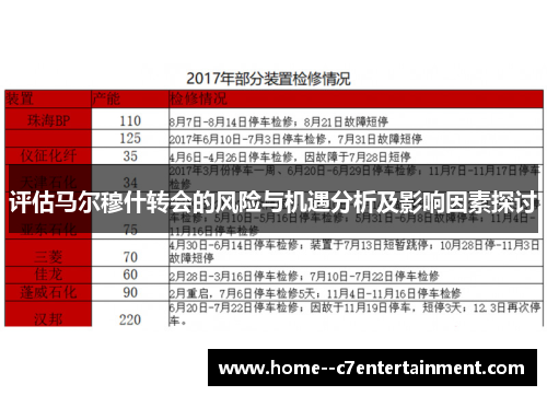 评估马尔穆什转会的风险与机遇分析及影响因素探讨