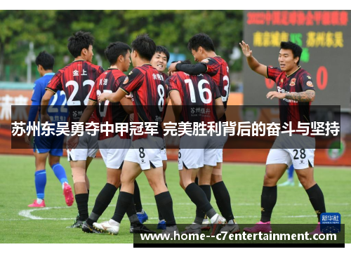 苏州东吴勇夺中甲冠军 完美胜利背后的奋斗与坚持