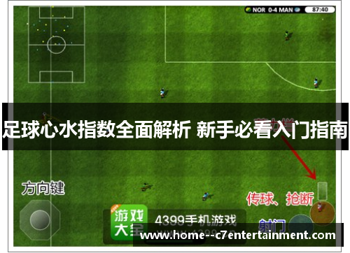 足球心水指数全面解析 新手必看入门指南 足球心水指数全面解析 新手必看入门指南