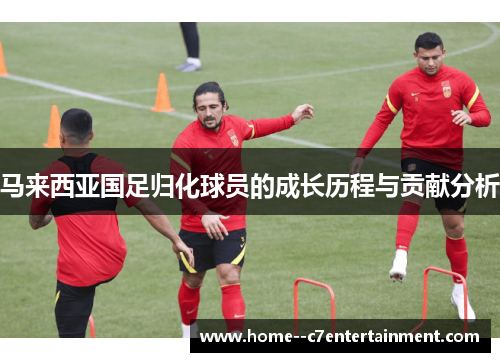 马来西亚国足归化球员的成长历程与贡献分析