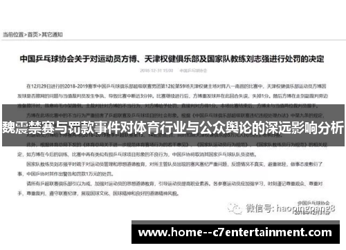 魏震禁赛与罚款事件对体育行业与公众舆论的深远影响分析