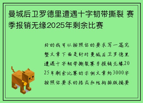 曼城后卫罗德里遭遇十字韧带撕裂 赛季报销无缘2025年剩余比赛